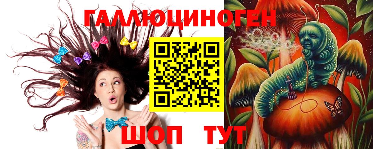 Псилоцибиновые грибы Psilocybe Шарыпово